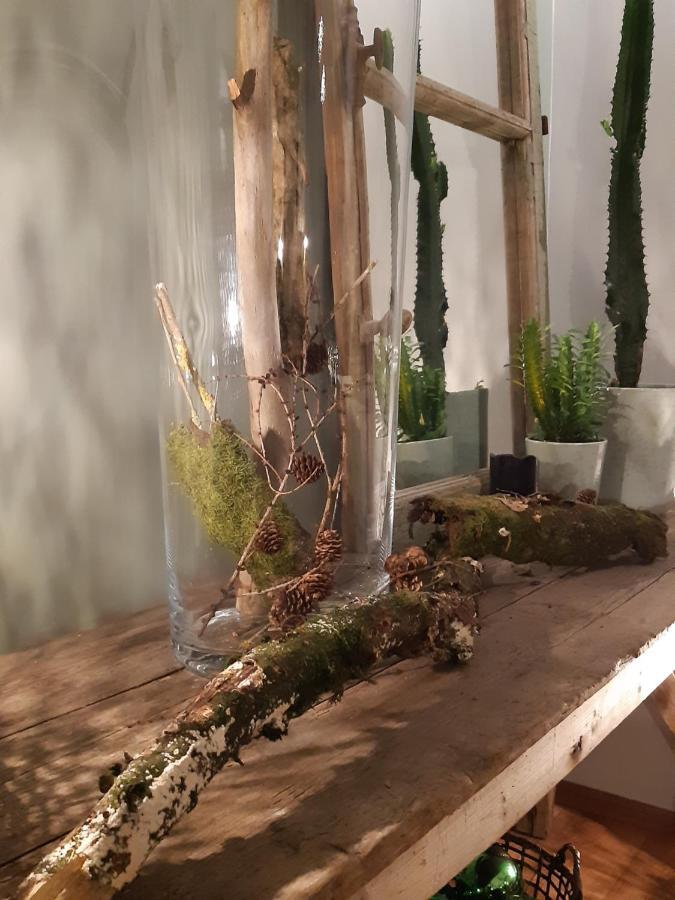Chambres D'Hotes Herbes Folles Steenwerck Εξωτερικό φωτογραφία
